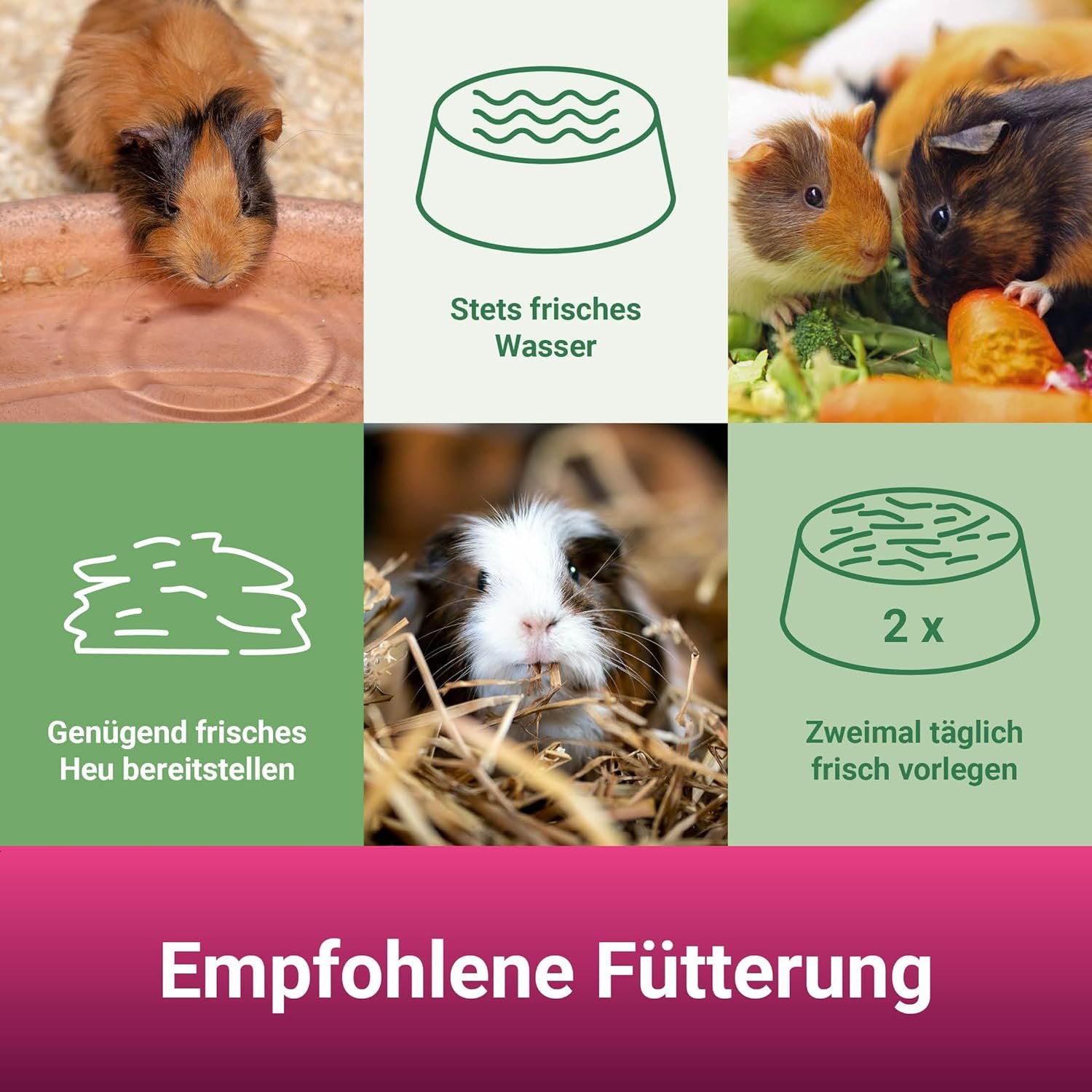 81lm7so9kNL. AC SL1500 .jpg