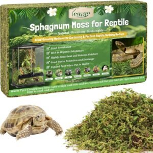 81mEiM8tIbL. AC SL1500 .jpg