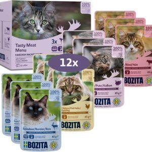 81mX1W77JzL. AC SL1500 .jpg