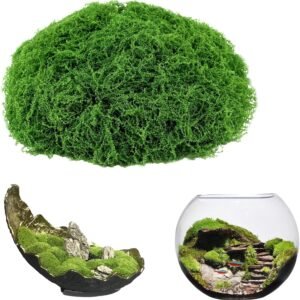 81msYQvexqL. AC SL1500 .jpg