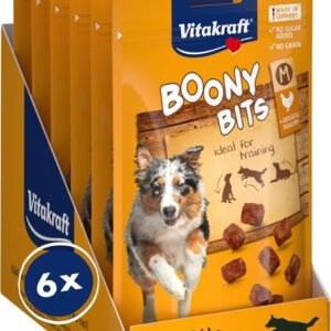 81mx NleZjL. AC SL1500 .jpg