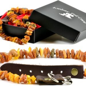 81mxjN8iZVL. AC SL1500 .jpg