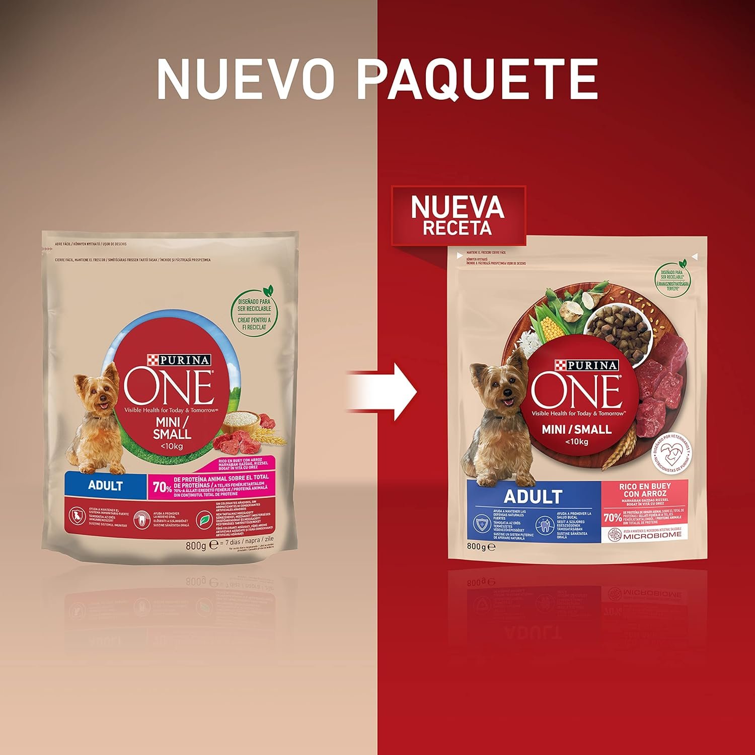 81n1G96UHL. AC SL1500 .jpg