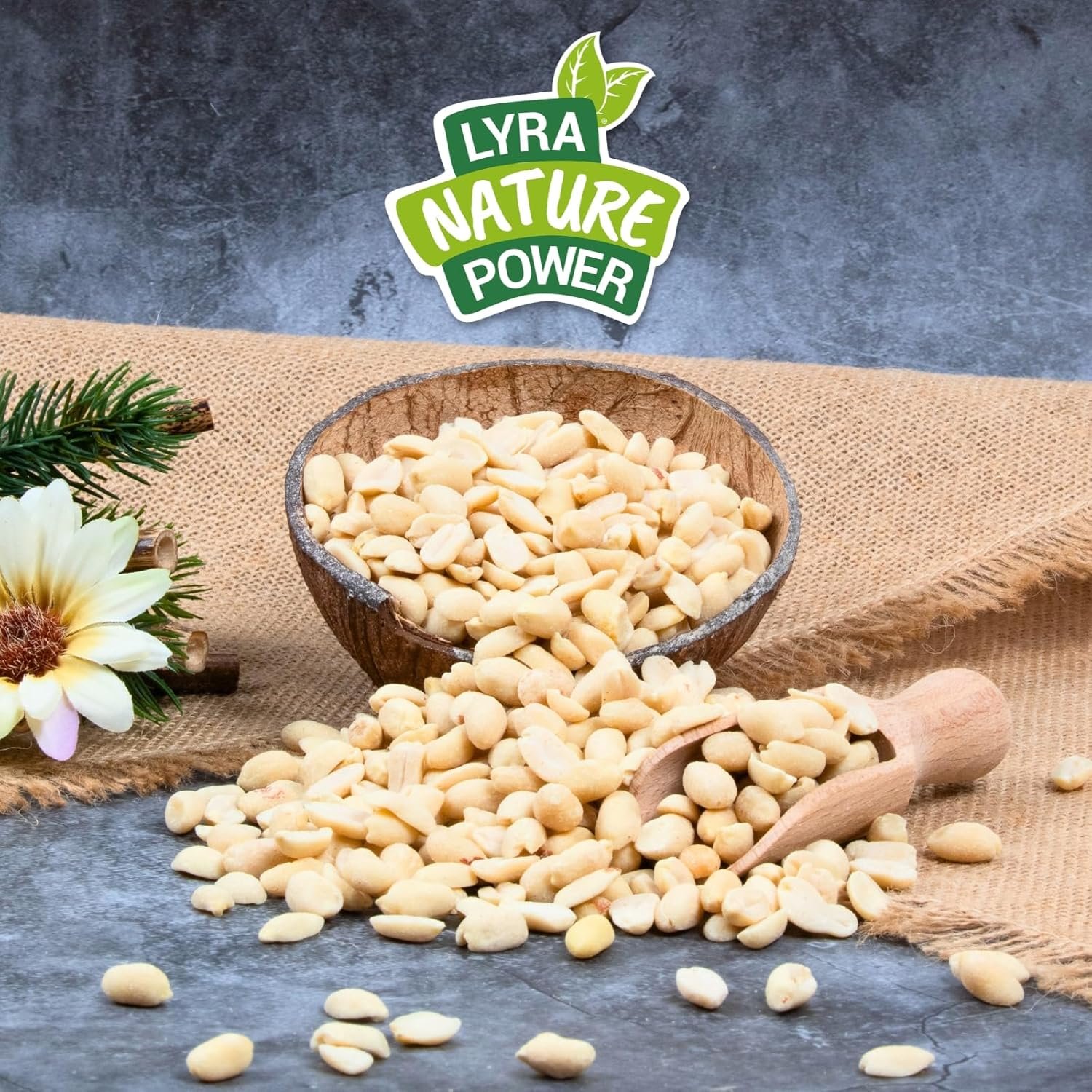 81n7v0MtpwL. AC SL1500 .jpg