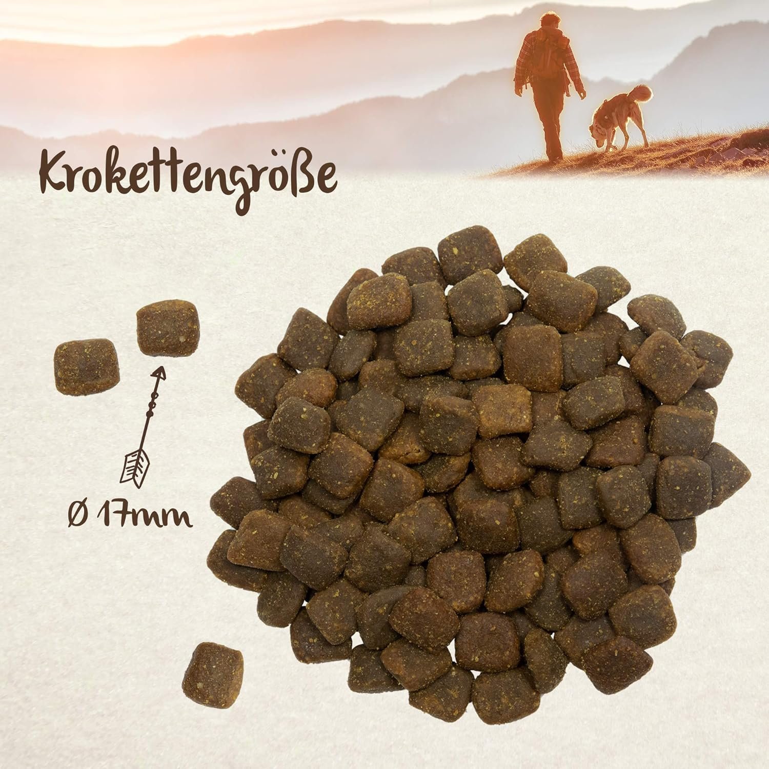 81n8RuSxFdL. AC SL1500 .jpg