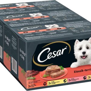 81nXCLli58L. AC SL1500 .jpg