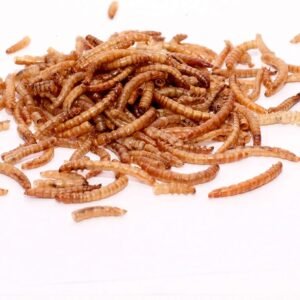 81orGZy91EL. AC SL1500 .jpg