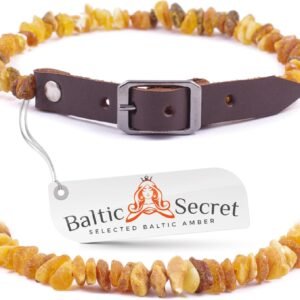 81ov82rb7ZL. AC SL1500 .jpg