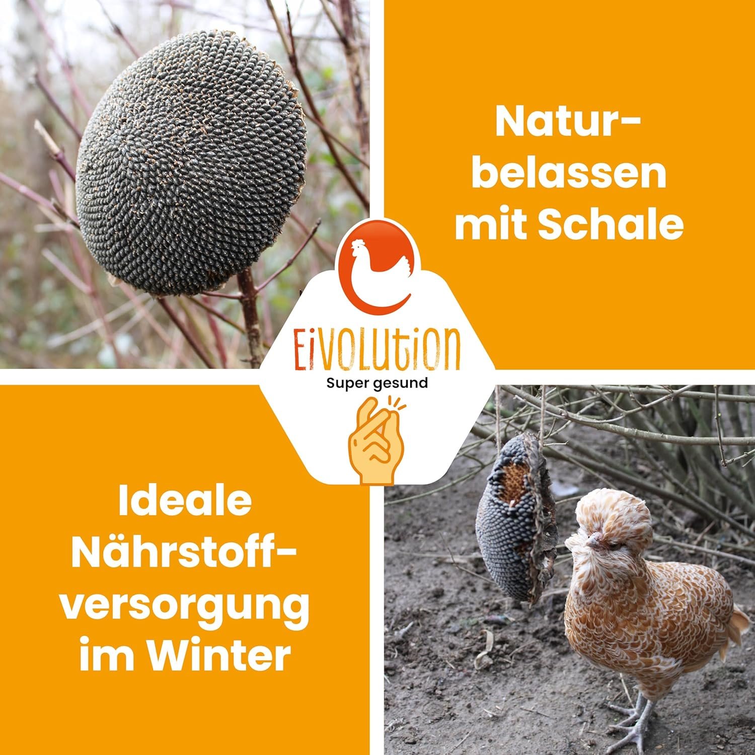 81p3GL13IJL. AC SL1500 .jpg