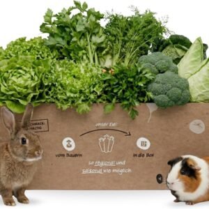 81p9KJVPD L. AC SL1500 .jpg