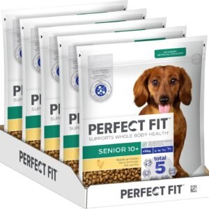 81pSl0oeDKL. AC SL1500 .jpg