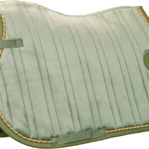 81pWnw6iUAL. AC SL1500 .jpg