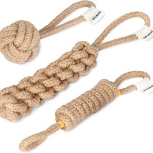 81q VVoWrtL. AC SL1500 .jpg