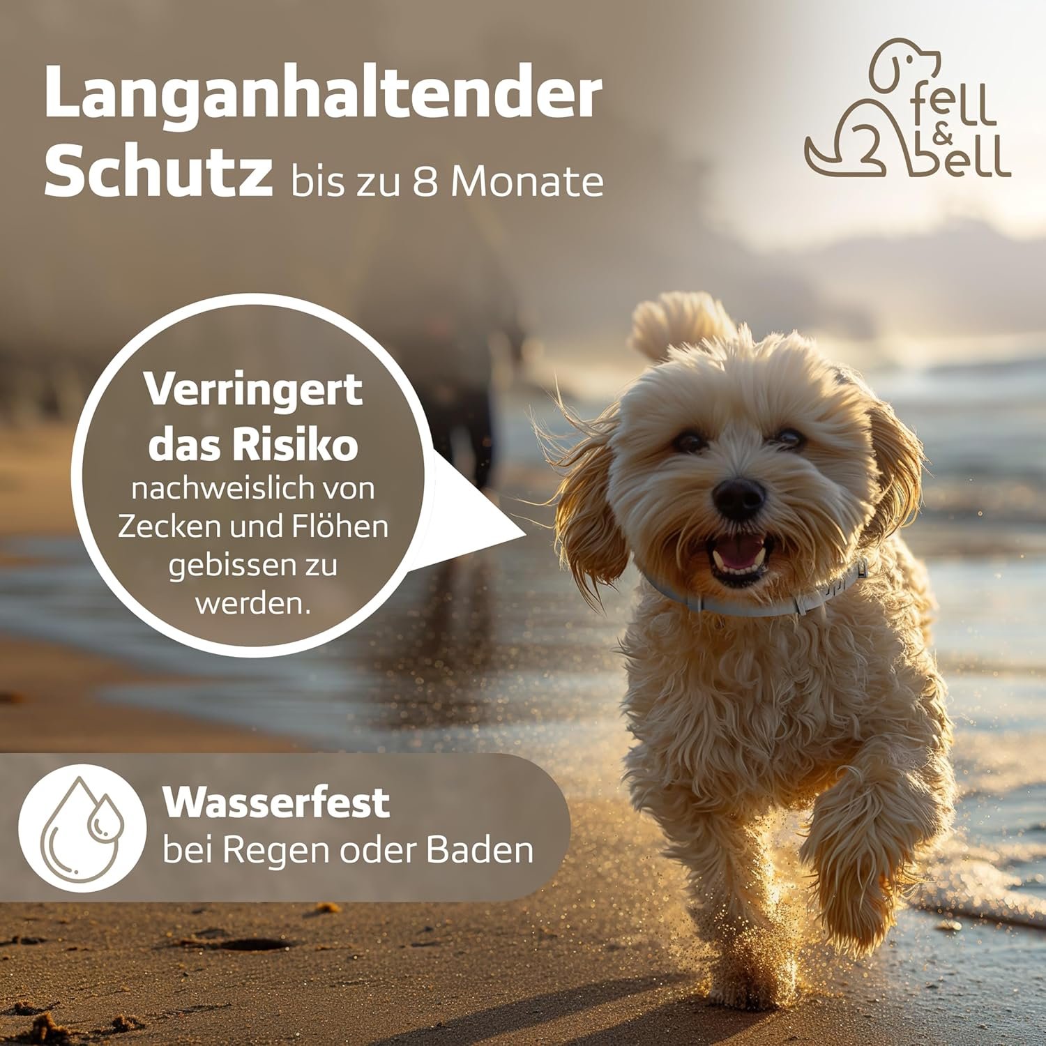 81qKE12gIUL. AC SL1500 .jpg