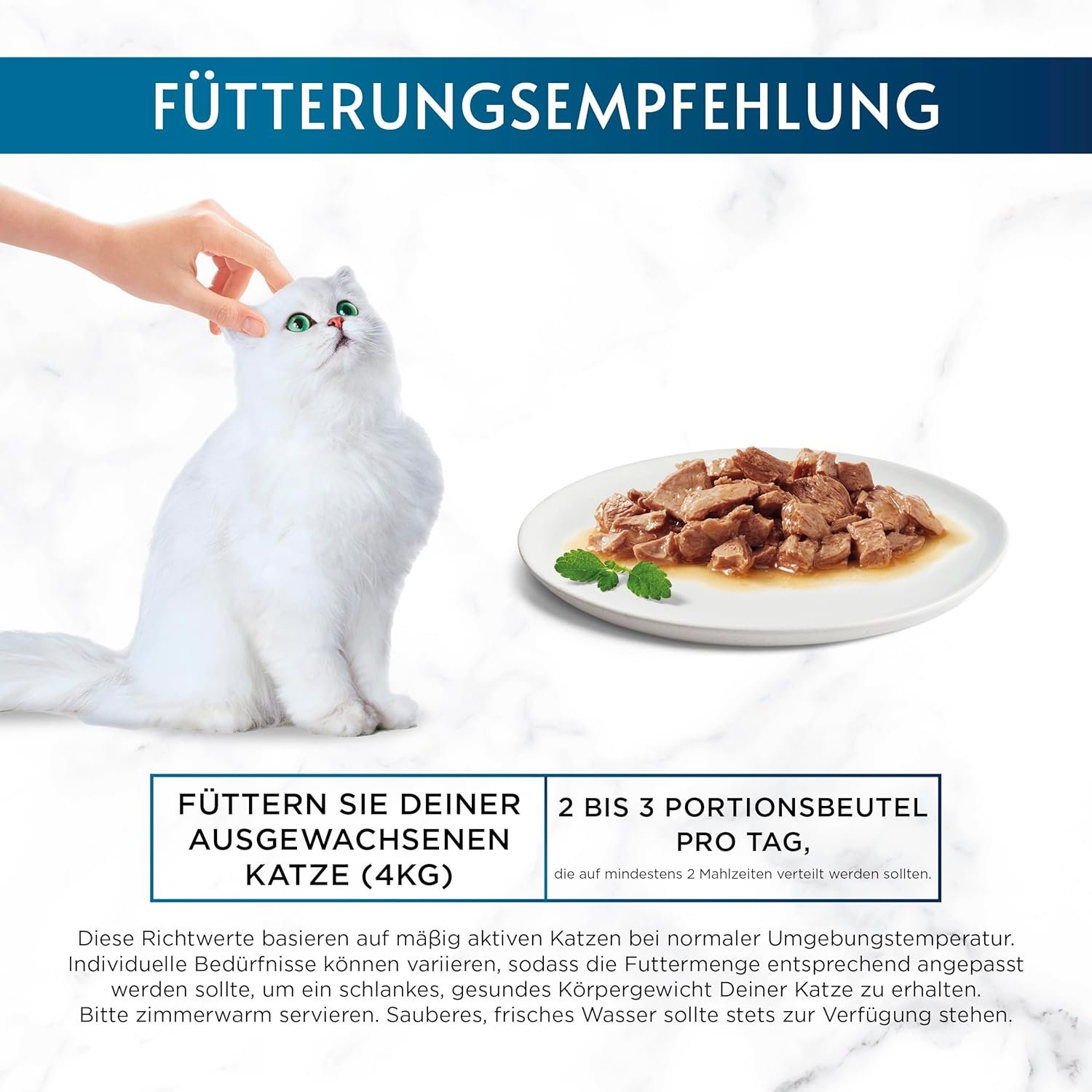 81qVZXSEcfL. AC SL1500 .jpg