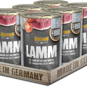 81qkx0kvxL. AC SL1500 .jpg