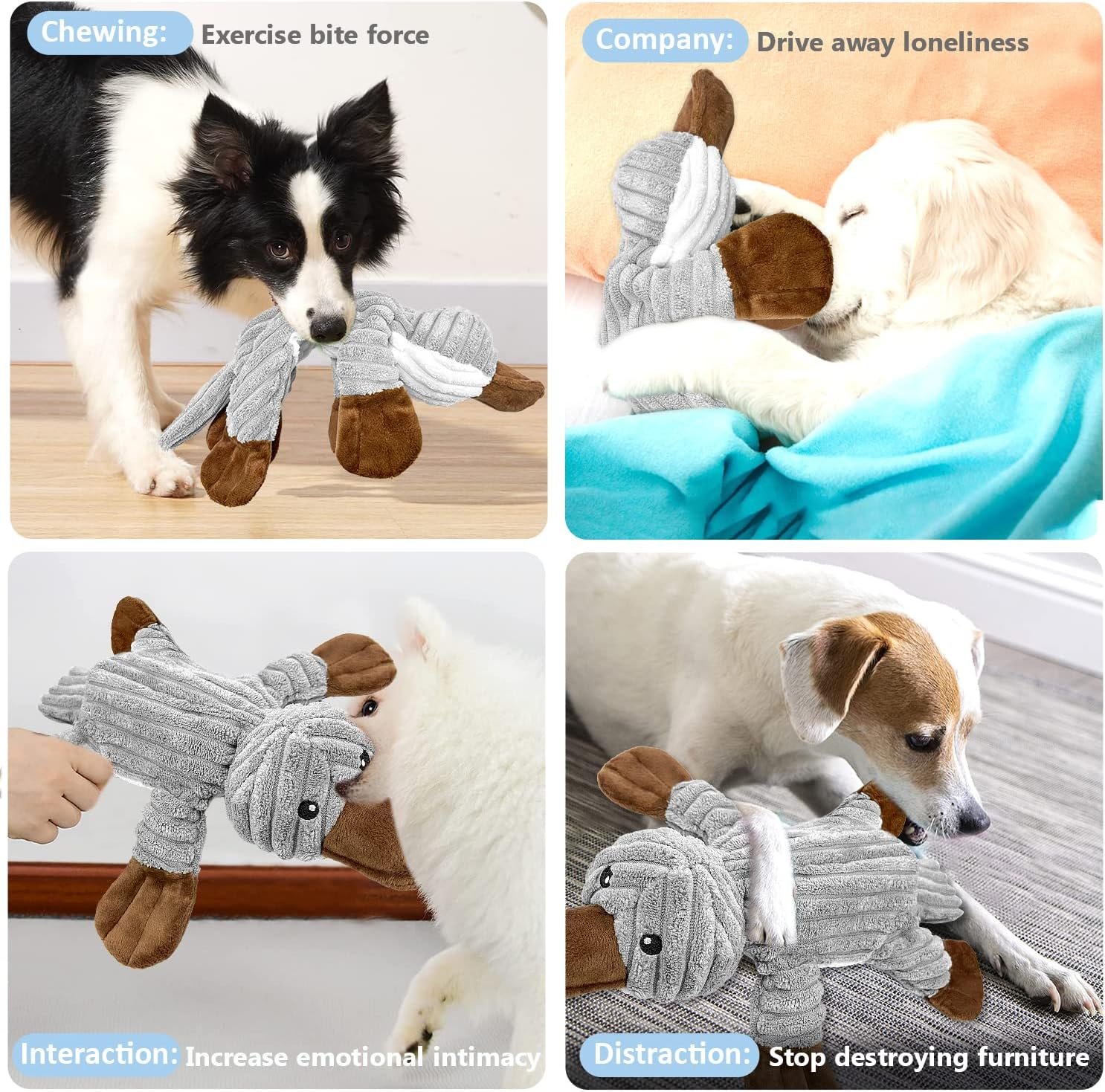 81rEKBJWimL. AC SL1500 .jpg