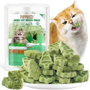 81rjYWCp1RL. AC SL1500 .jpg