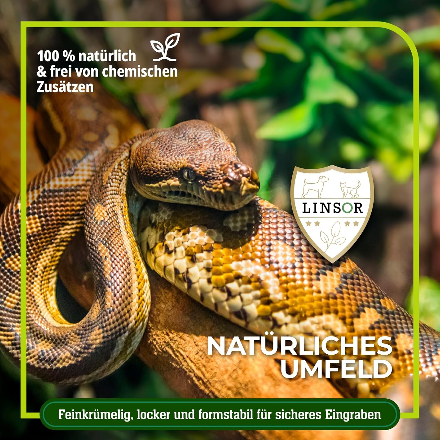 81sGRim8X4L. AC SL1500 .jpg