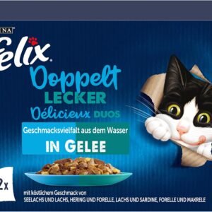 81st6yqBdL. AC SL1500 .jpg