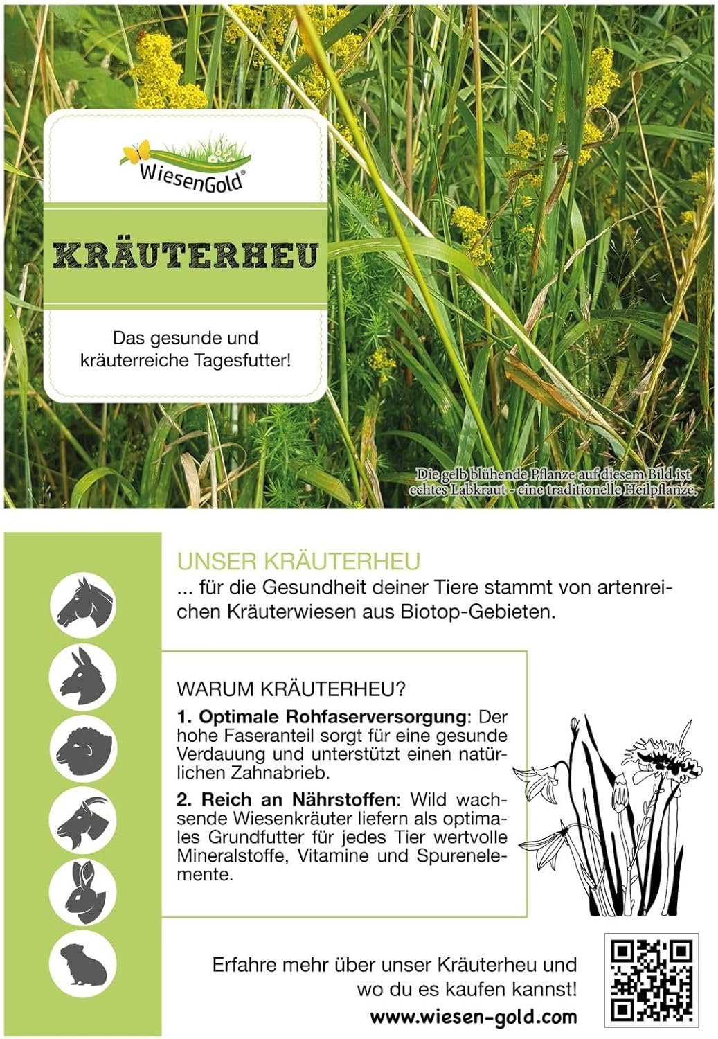 81sxP6vwlmL. AC SL1500 .jpg