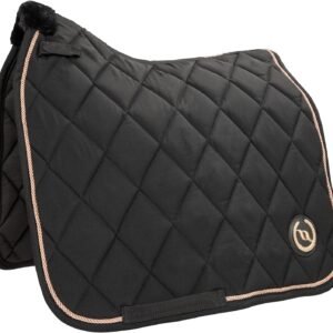 81t24M4RmSL. AC SL1500 .jpg