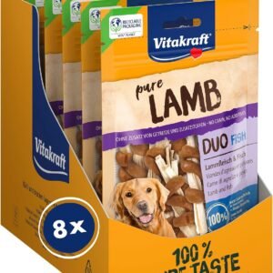 81tASkcssCL. AC SL1500 .jpg