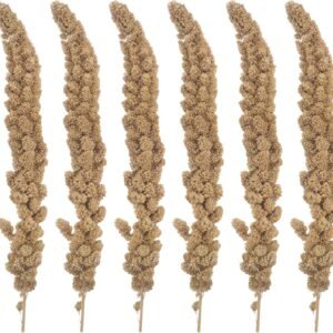 81tJkPmf0ZL. AC SL1500 .jpg