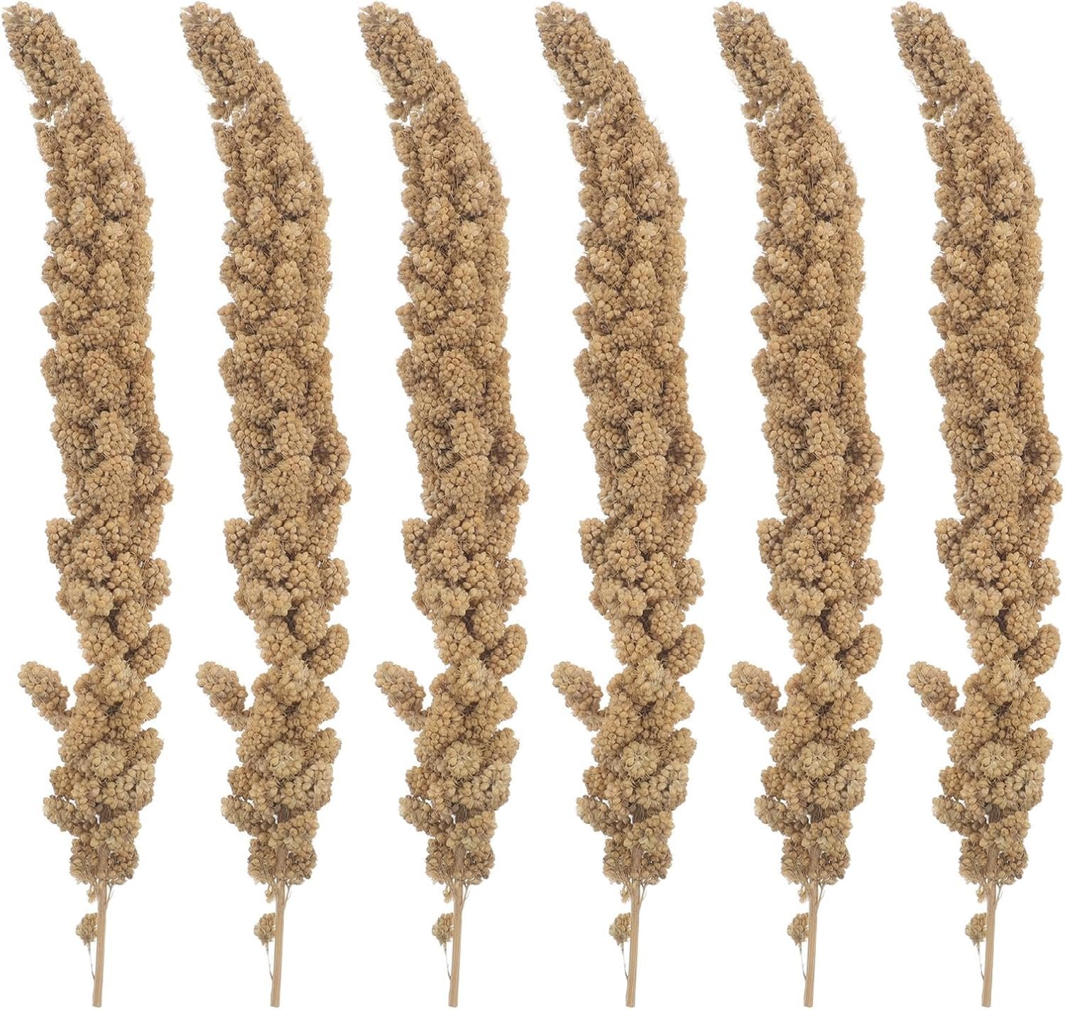 HEMOTON Hirse-Leckerli mit Schale 500 g – getrocknete Hirse als Vogelsnack für Wellensittiche, Nymphensittiche, Papageien, Finken, Kleintiere, natürliches Futter für Aktivität und Gesundheit HEMOTON Hirse-Leckerli mit Schale 500 g – getrocknete Hirse als Vogelsnack für Wellensittiche, Nymphensittiche, Papageien, Finken, Kleintiere, natürliches Futter für Aktivität und Gesundheit