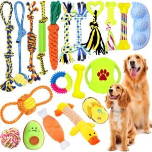 81tWgdxKevL. AC SL1500 .jpg