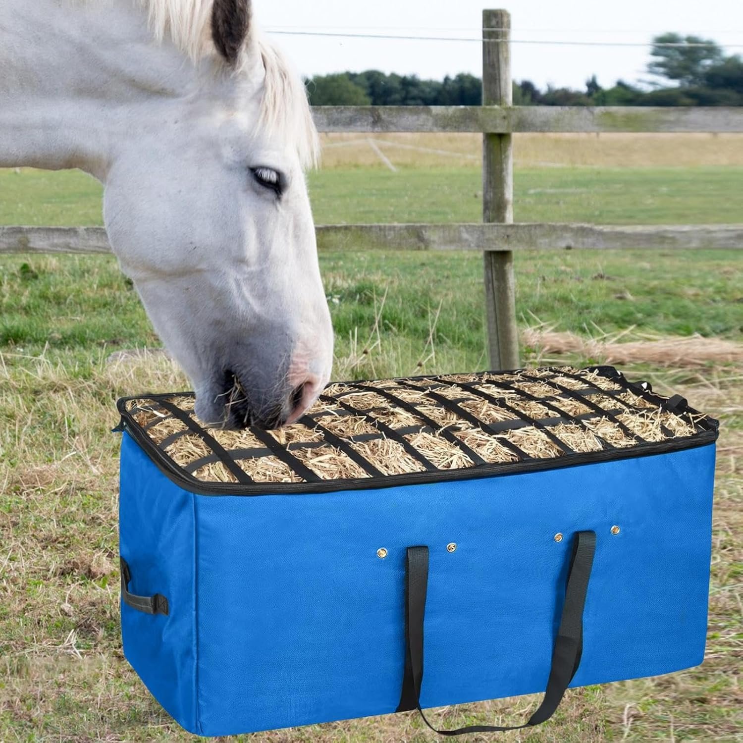 81tbDBdwbwL. AC SL1500 .jpg