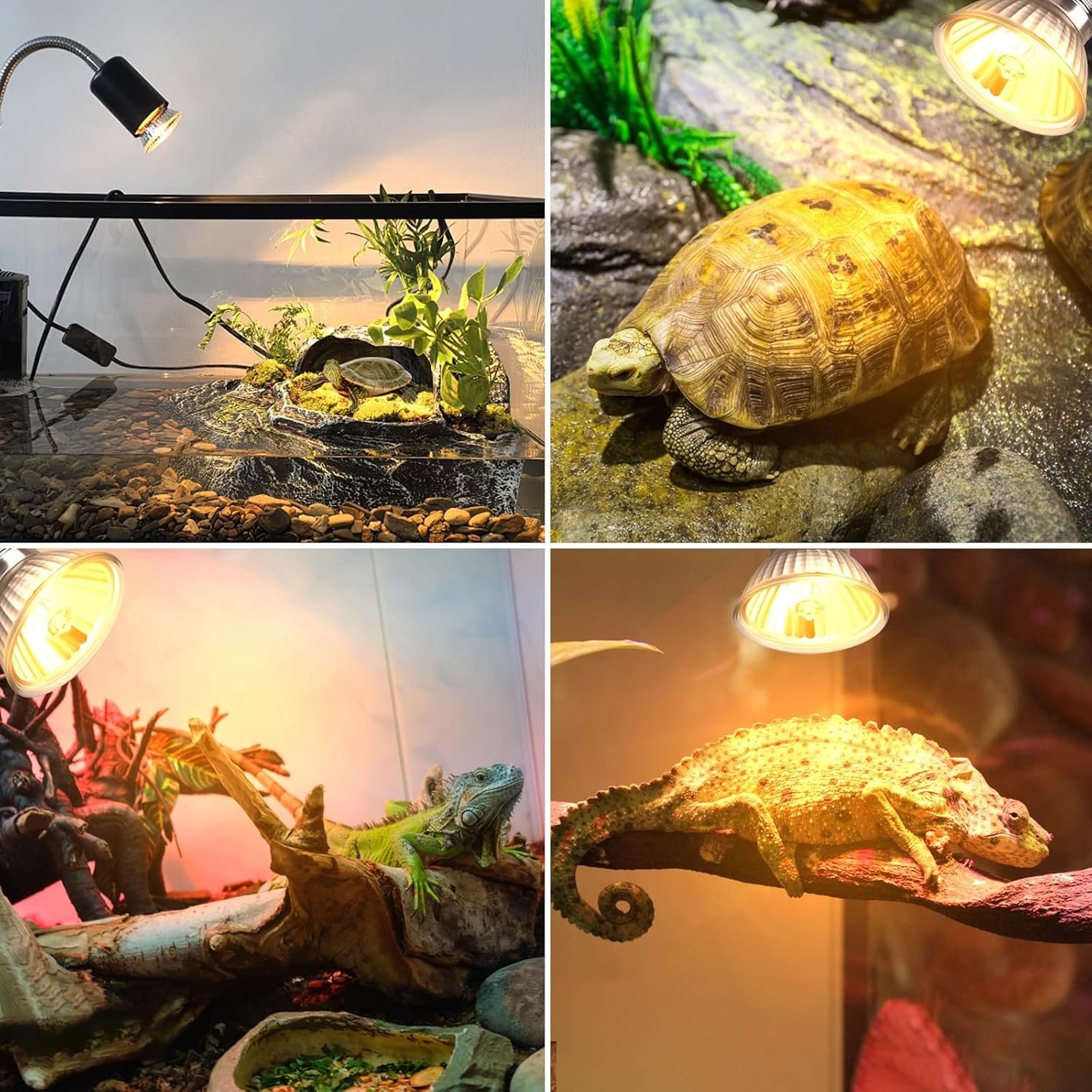 81tqkYiO7AL. AC SL1500 .jpg