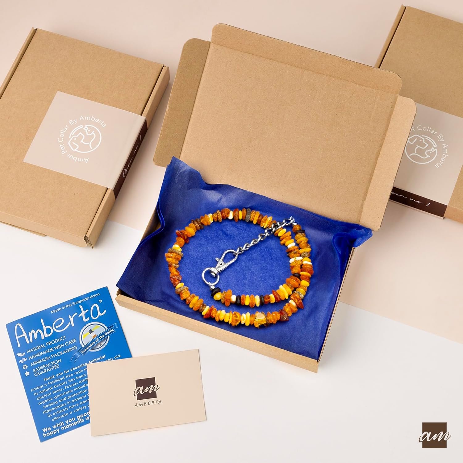 81u13qINVpL. AC SL1500 .jpg