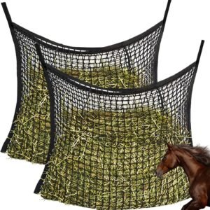 81uBB5B2mTL. AC SL1500 .jpg