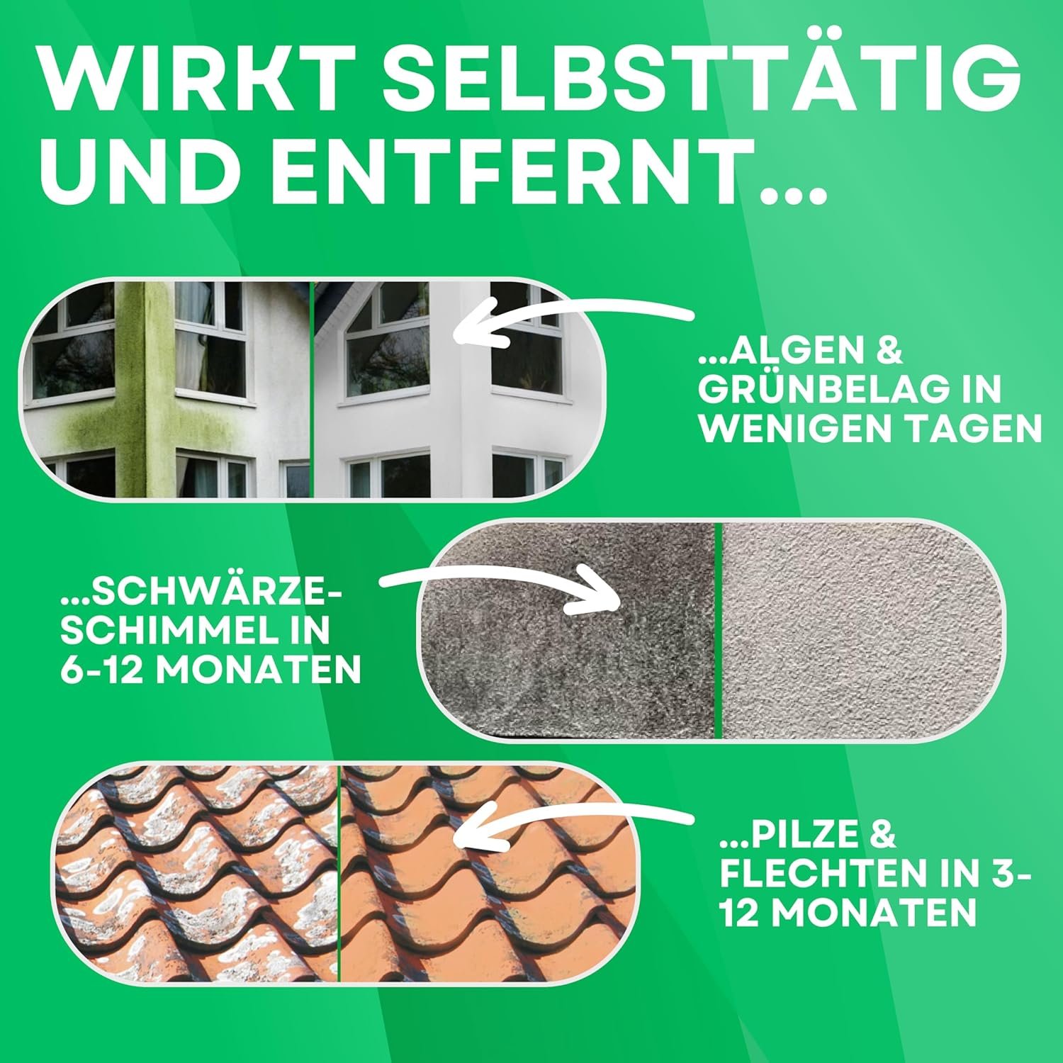 81uff0W1zmL. SL1500 .jpg