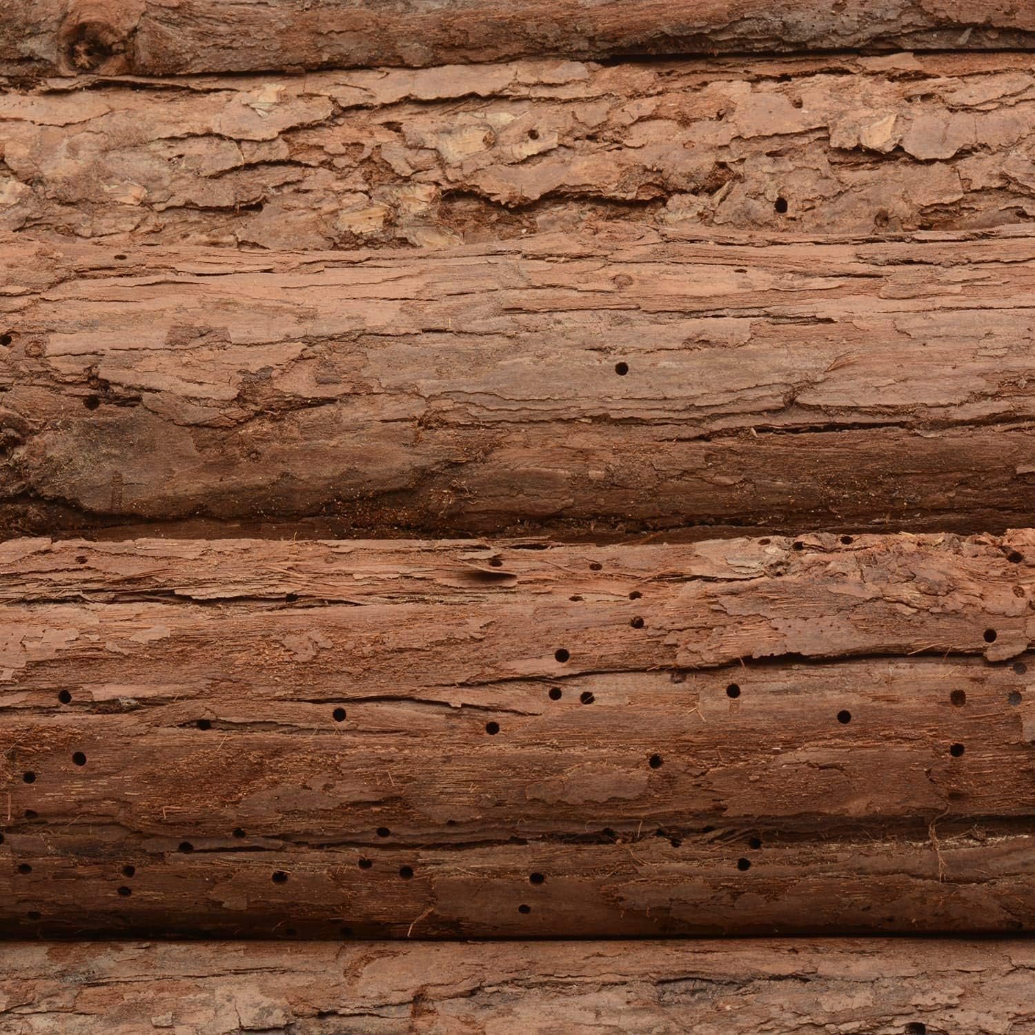 81uiMxt5ZiL. AC SL1500 .jpg