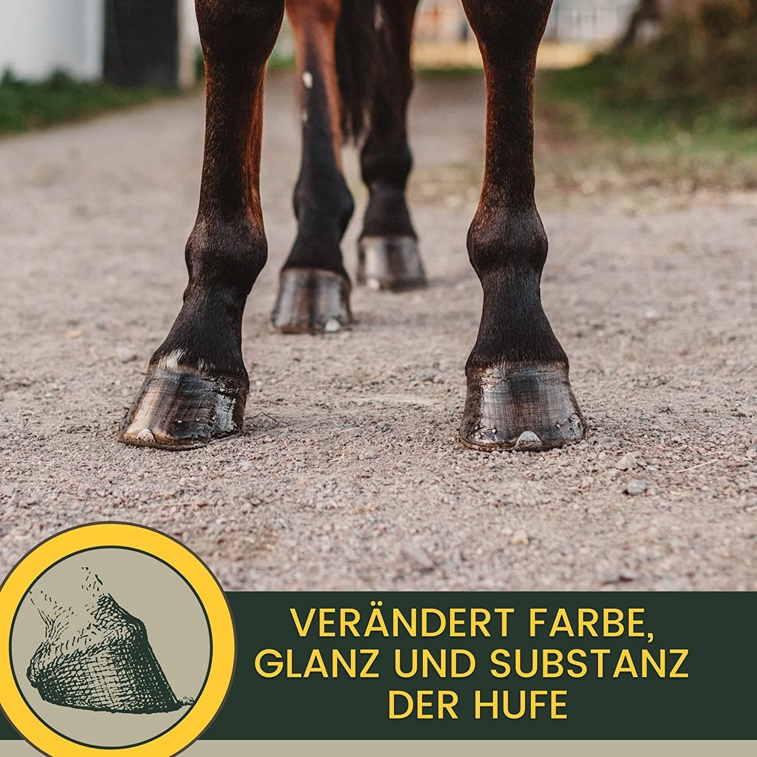 81unRczsOeL. AC SL1500 .jpg