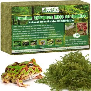 81v b1OyU9L. AC SL1500 .jpg