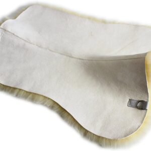 81v5OhUuRAL. AC SL1500 .jpg