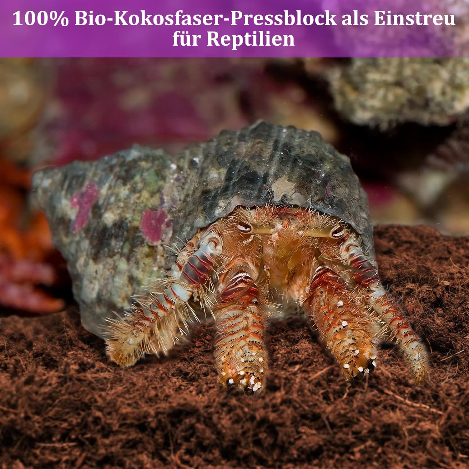 81vSoEpDwvL. AC SL1500 .jpg