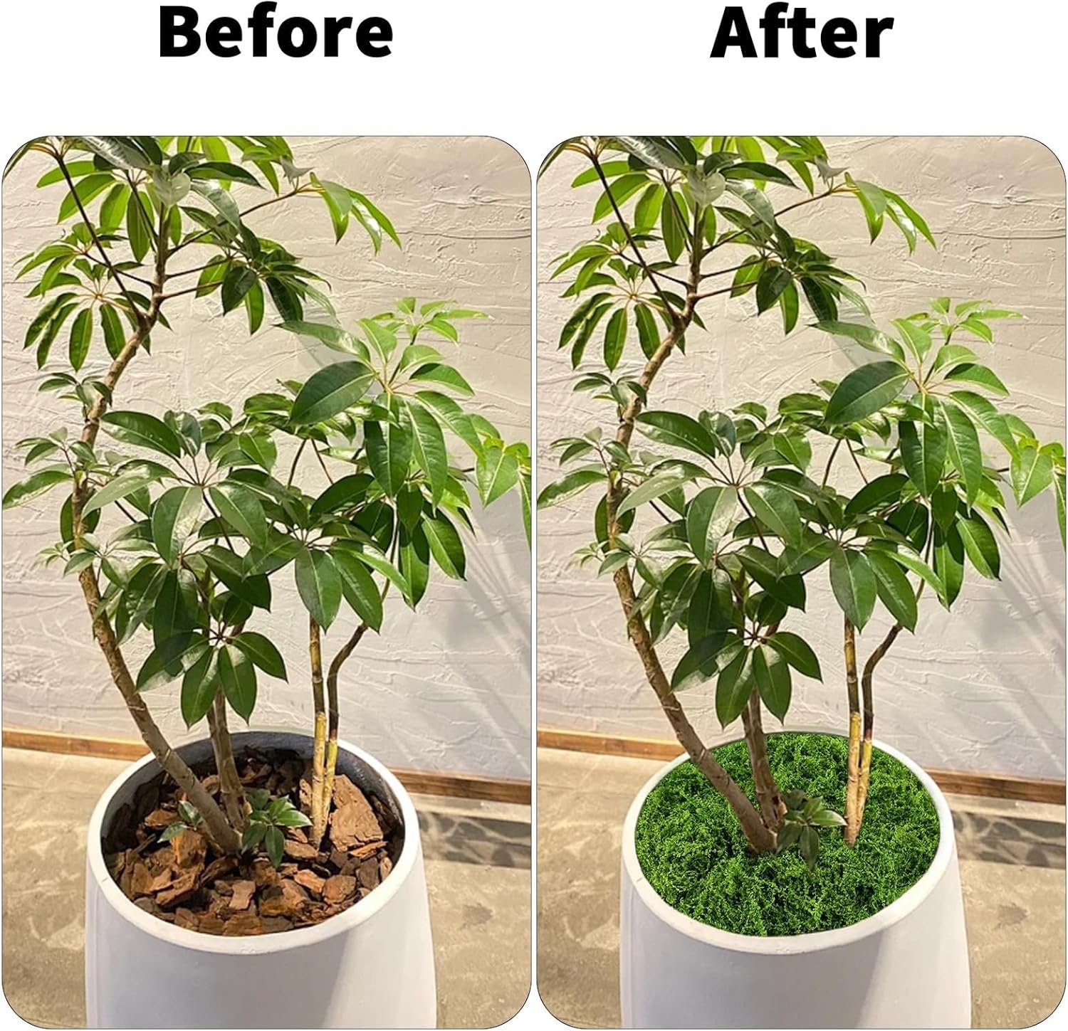 81vTMnT3QGL. AC SL1500 .jpg