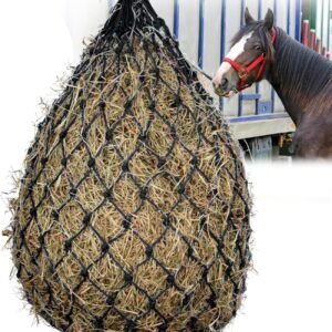 81vVw 0NLtL. AC SL1500 .jpg