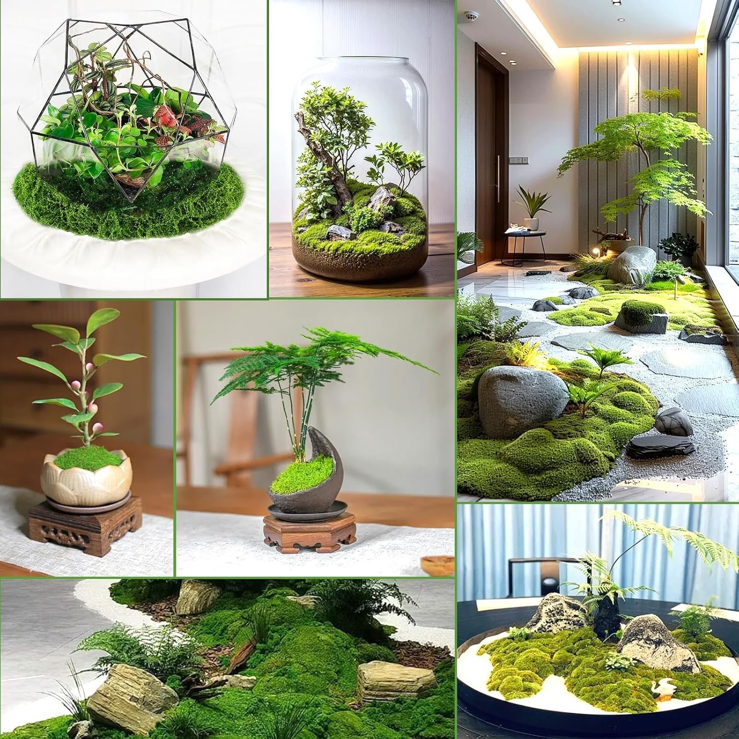 81vfLCcYpKL. AC SL1500 .jpg