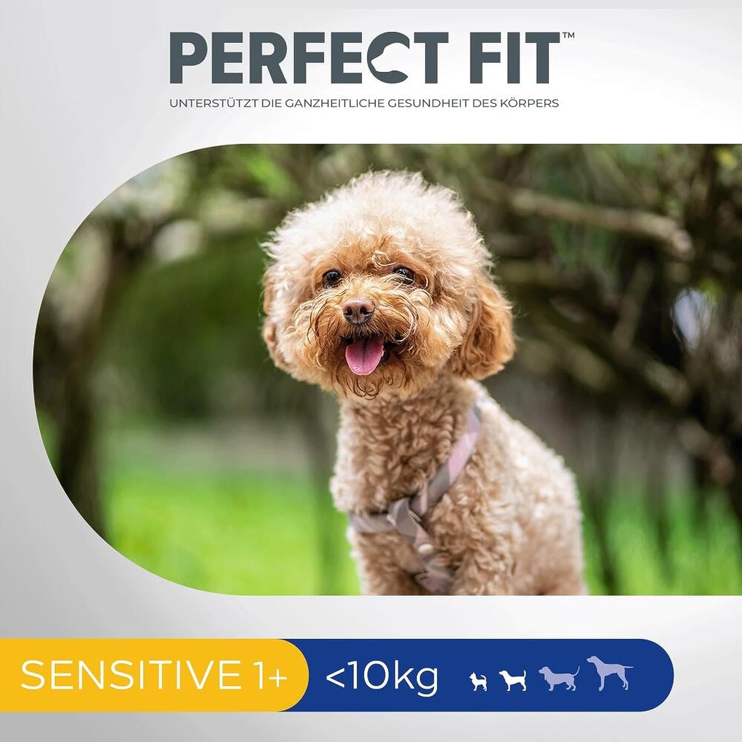 81vh6f1h5PL. AC SL1500 .jpg