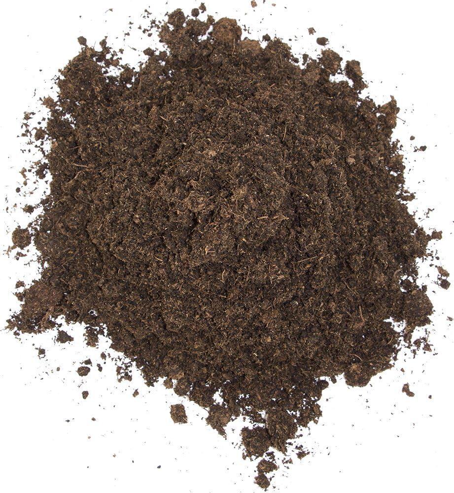 81w3drPSH5L. AC SL1000 .jpg