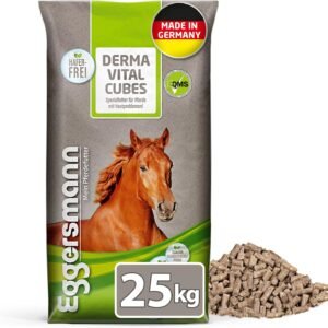 81wCjQIE6tL. AC SL1500 .jpg