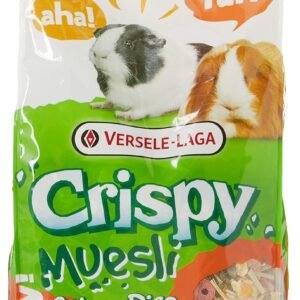 81wNjdmfZAL. SL1500 .jpg