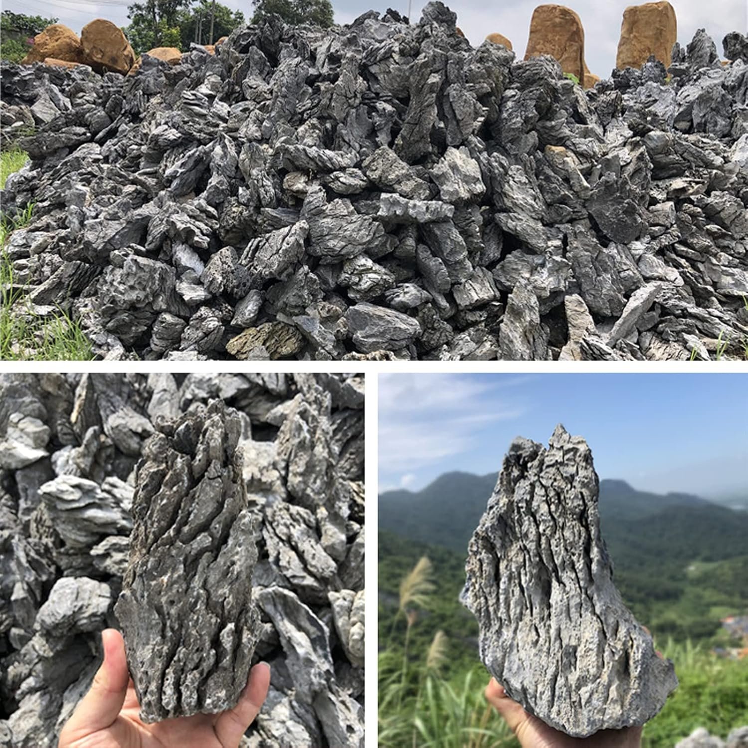 81wc9P 4tTL. AC SL1500 .jpg