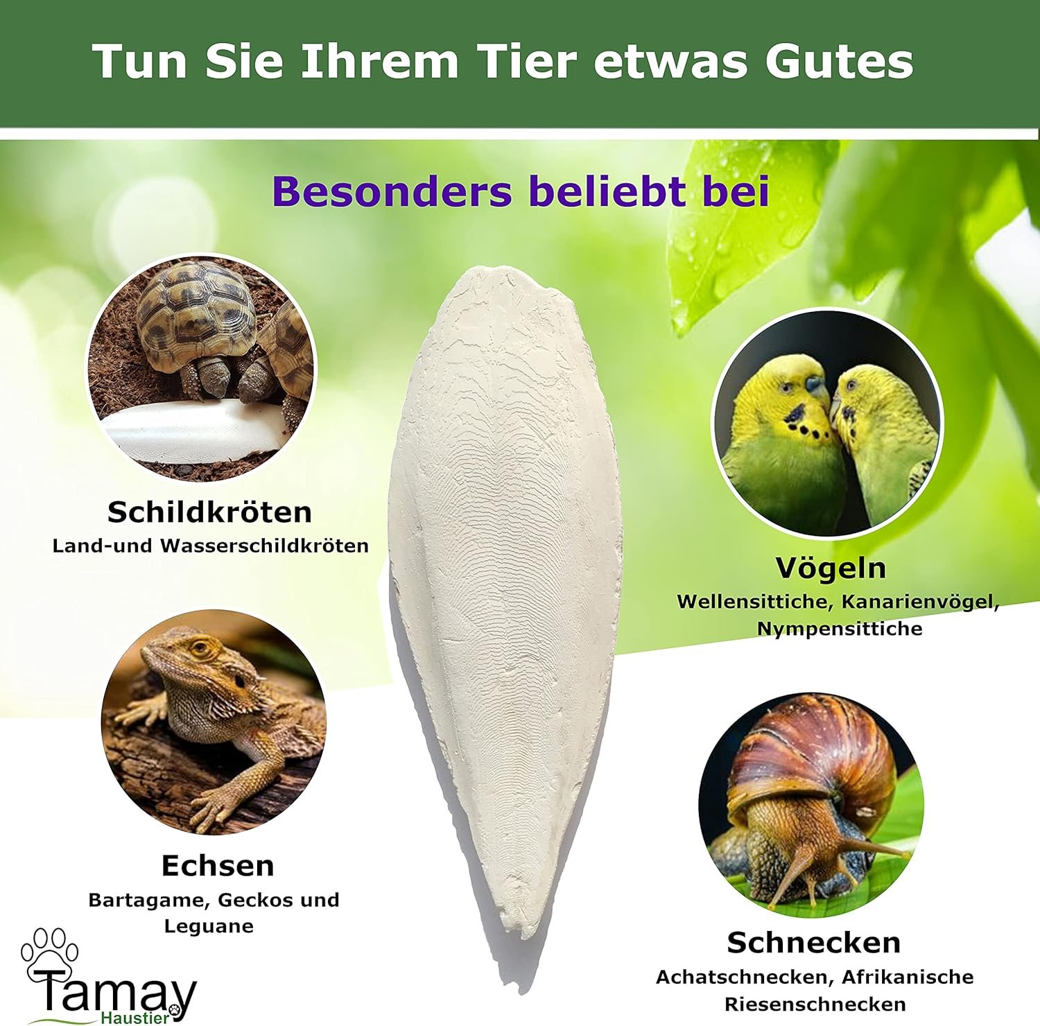 81wqiN8WPdS. AC SL1500 .jpg