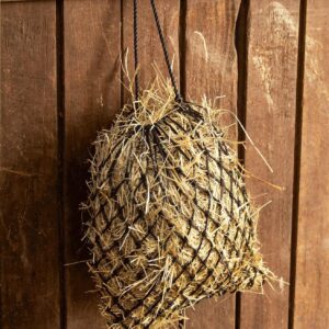 81xOPT3hCqL. AC SL1500 .jpg